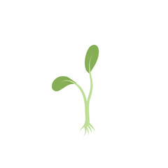 Microgreen Plants Illustration 