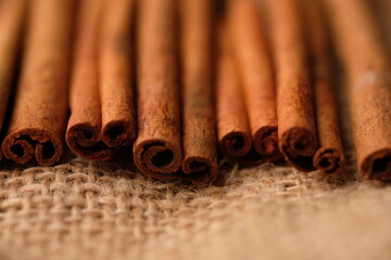 Cinnamon or with the scientific name Cinnamomum is a type of tree that produces spices. Cinnamomum verum. blurred image 