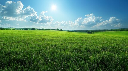 Obraz premium Expansive green field under a bright blue sky with fluffy clouds on a sunny afternoon
