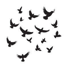 set of silhouettes of birds