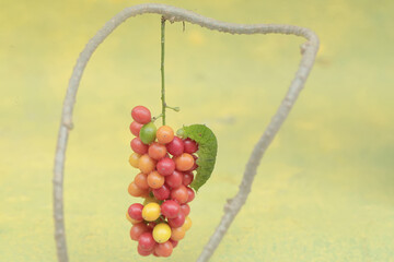 A green caterpillar is eating bunches of wild plant fruit. This animal likes to eat fruit, flowers and young leaves.