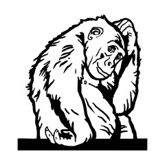 Peeking monkey - Comic Animal - Funny Animal - Wildlife Stencil - vector clipart stock