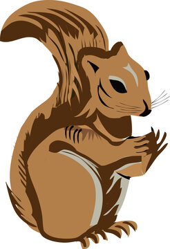 ardillas which is translated as A animal. grey squirrel. sciurus carolinensis.