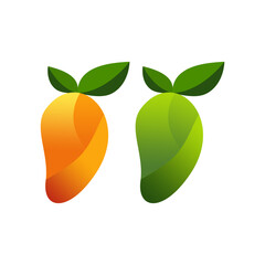 Mango fruit vector, ripe and unripe mango