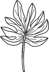 Leaf black and white. Vector illustration.