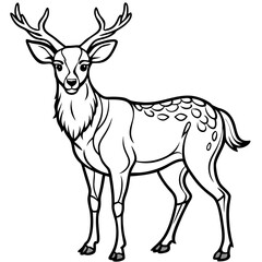  Deer