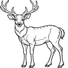  Deer