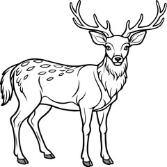  Deer