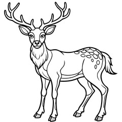  Deer