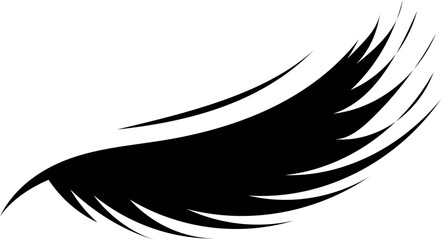 Eyebrow and eyelash on white background. Vector illustration.