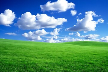 Obraz premium Beautiful landscape with a green field and blue sky