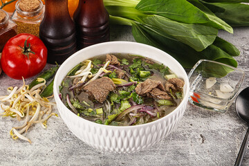 Vietnamese cuisine - Pho Bo soup with beef