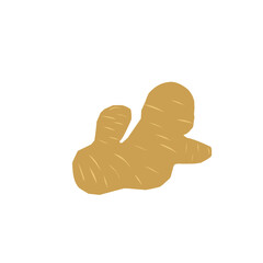 Flat illustration of herbal ginger 