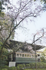 Obraz premium 平安神宮の日本最古の電車