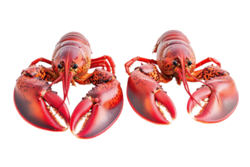 High Quality Lobsters Isolated on transparent Background Perfect for Seafood Menus, Restaurant Promotions, and Culinary Designs