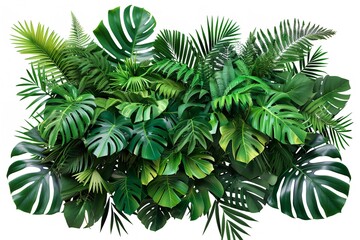 Bush, monstera, palm rubber, and lush, green tropical plants. Generative Ai