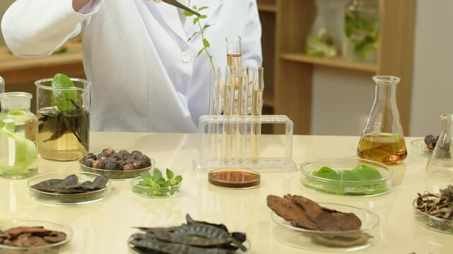 The scientist picks up a fresh basil branch soaked in solution from a test tube to an empty test tube. The video sample is set in a modern lab with all the herbs and materials for the experiment.