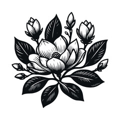 Magnolia flower. Blooming branch. Black and white engraving illustration, tattoo sketch, print, ink, cut out