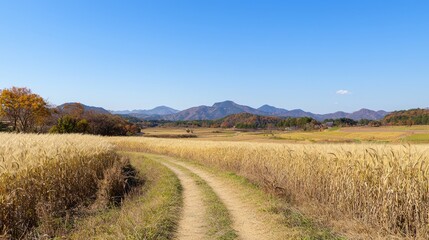 Fototapeta premium Tranquil Journey Through Ancient Japanese Countryside - Ultra-Detailed Landscape with Winding Path, Golden Wheat Fields, and Majestic Mountains Under Clear Blue Sky