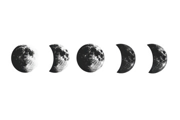 Illustration of the Moon Phases Isolated on a transparent Background for Educational and Creative Uses