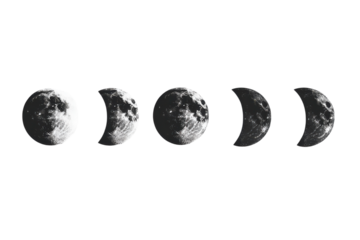 Illustration of the Moon Phases Isolated on a transparent Background for Educational and Creative Uses