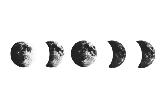 Illustration of the Moon Phases Isolated on a transparent Background for Educational and Creative Uses