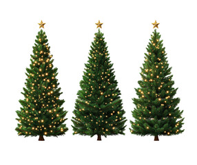 Set of Christmas tree isolated on Transparent background, Christmas ornaments.