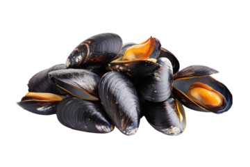 Delicious Fresh Mussels Isolated on transparent Background Ideal for Culinary and Restaurant Themes