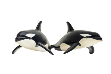 Obraz premium A Stunning Close-Up of Orcas Isolated on a transparent Background for Nature and Wildlife Projects