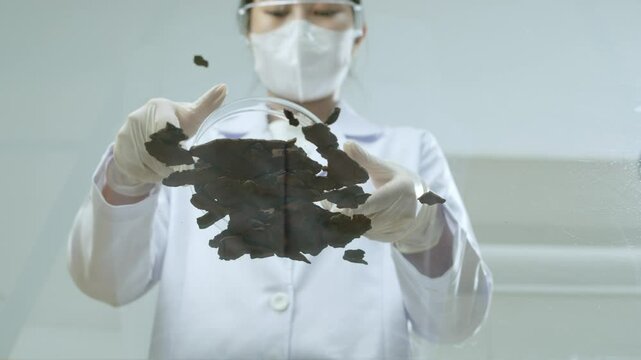 The scientist pours dry herbs from a petri plate onto a transparent glass table. This video template bottom-up perspective makes it perfect for modern scientific investigations.