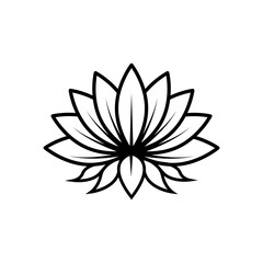 illustration of a lotus flower