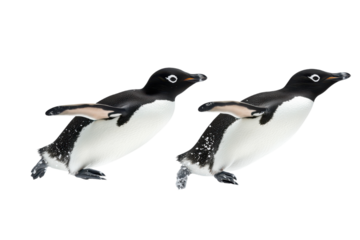 Playful Penguins Sliding on a transparent Background Perfect for Children's Book Illustrations and Educational Materials