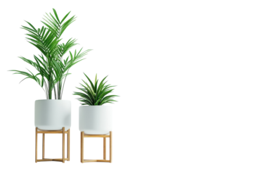 Stylish Plant Stands Isolated on a Crisp transparent Background for Home Decor and Interior Design Inspiration