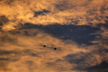 sunrise over the clouds in morning in village in india