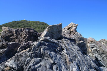 室戸岬のタービダイト層　灌頂ヶ浜　秋　（四国　高知県）