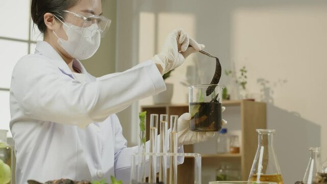 A soapberry that has been soaked in a beaker is being observed by a researcher in a horizontal lab video. Experiment supplies and ingredients are arranged on the backdrop table and shelves.