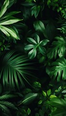 Obraz premium Tropical Green Leaves Texture Background, Natural Foliage Pattern. Lush, Exotic Jungle Aesthetics.