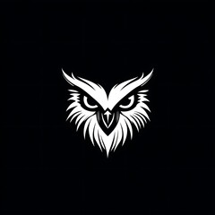 Fototapeta premium A stylized owl with a fierce expression, with white feathers and eyes on a black background.