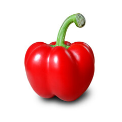 Single Red Bell Pepper