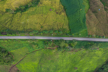 Aerial view in the morning of a road through a lush green forest leading to a rural village.