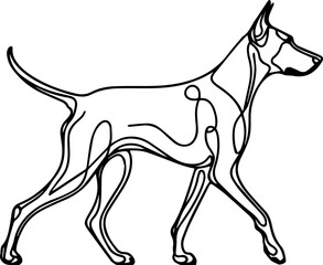 Obraz premium Black Line Art Style Doberman Dog Calm Walking Pose Hand Drawn Illustration