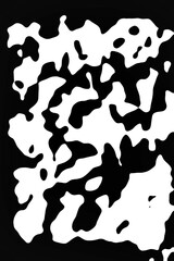 Bold Black and White Contrast in Modern Artistic Expression and Design.