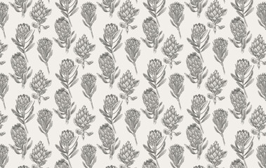 Hand drawn protea Flower Seamless Pattern