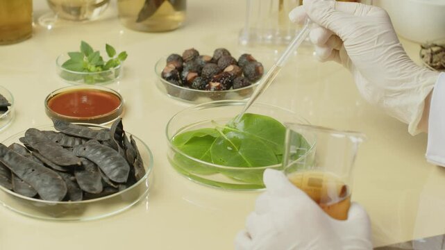 Close-up footage shows a scientist at work, spilling a solution into a petri dish with green leaves adjacent to glass containers holding soapberry, soapnut, holy basil, and soapberry essential oil.