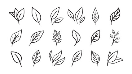 Hand drawn leaf eco set. Black line doodle leaf icons