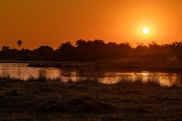 Beautiful orange african sunset in Moremi game reserve, Okavango delta, Botswana, Africa