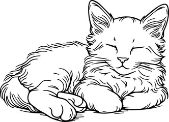 Black Line Art Style Small Pet Cat Cutie and Sleeping Pose Hand Drawn Illustration