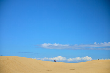 【鳥取県鳥取市】鳥取砂丘