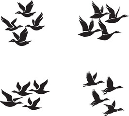Fototapeta premium Serene Flight: A Minimalist Vector Art of Ducks in Motion