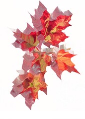 Exploring the Dynamic Textures and Colors of Autumn through an Abstract Interpretation of Nature's Seasonal Beauty and Transformation